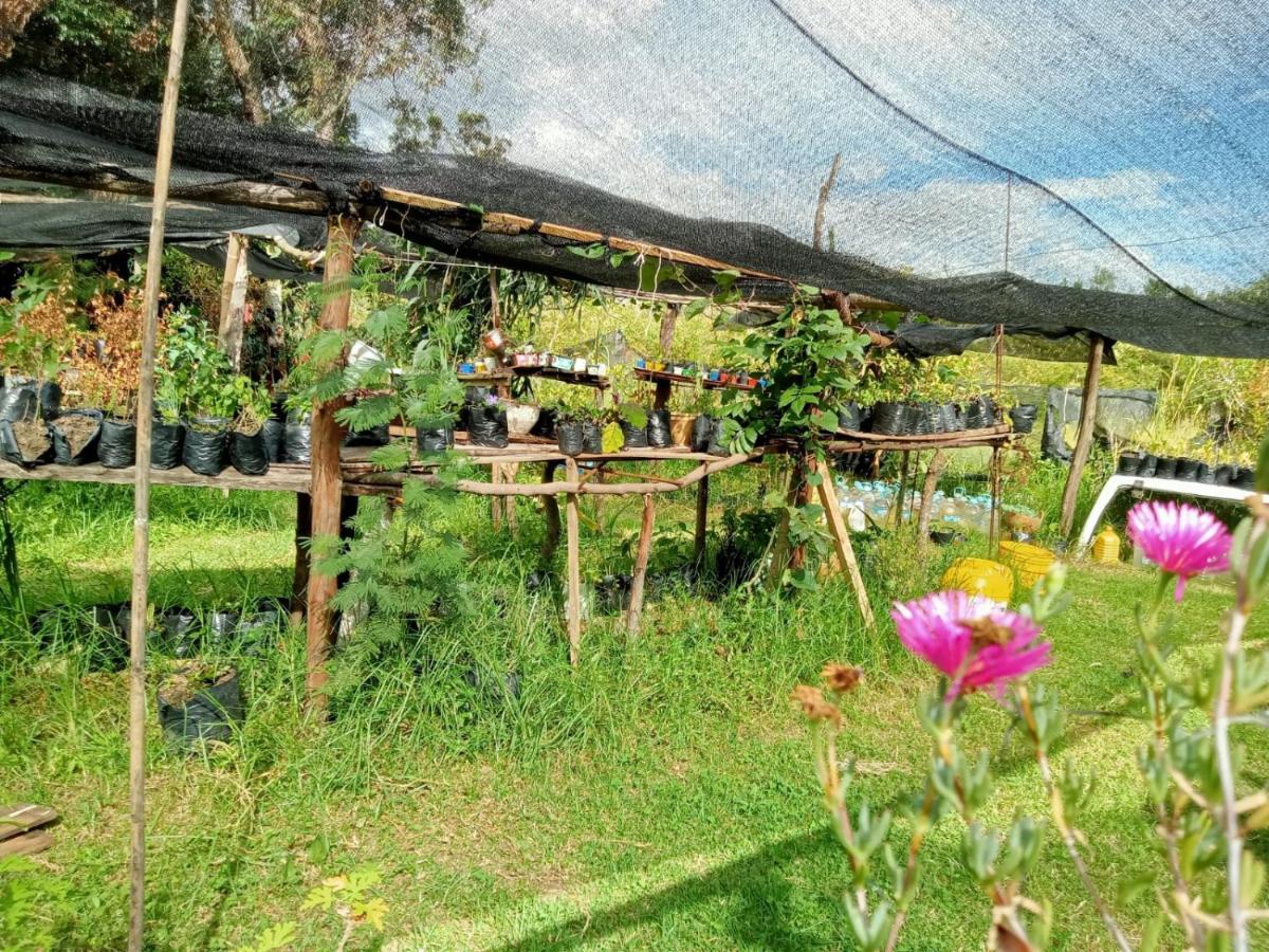 Penzion Hospedaje Y Zona De Camping Pistacho Villa de Leyva Exteriér fotografie